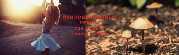 молекула духа Касимов