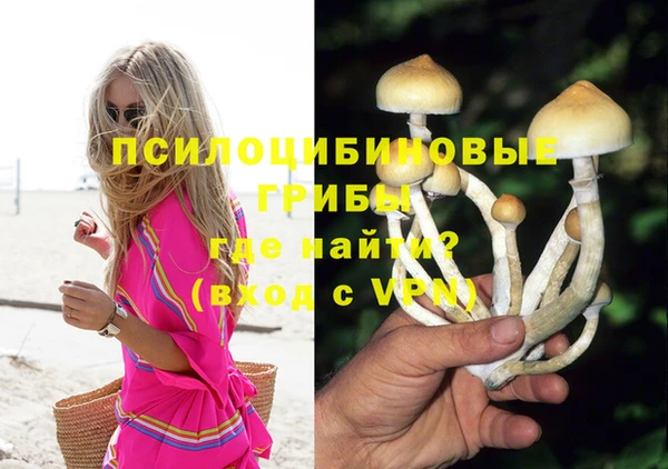 MDMA Premium VHQ Карпинск