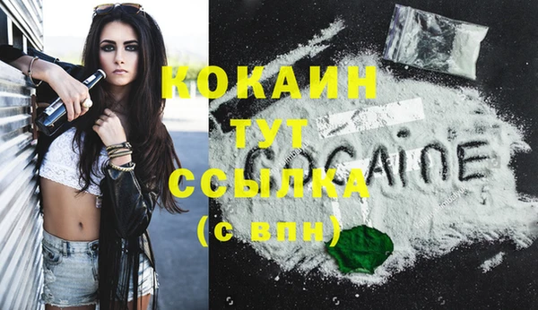 молекула духа Касимов